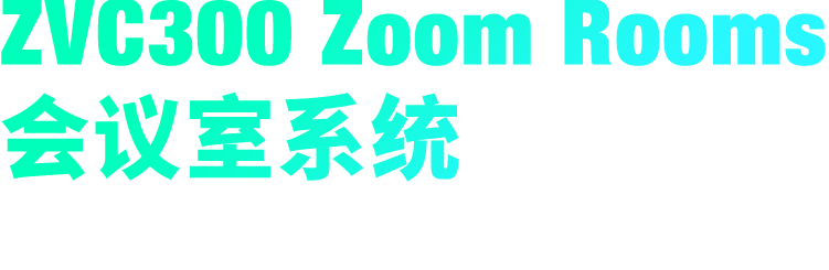 ZVC300 Zoom Rooms 会议室系统